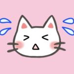 おにゃぽん